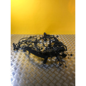 Faisceau électrique pour BMW F 900 XR 2021