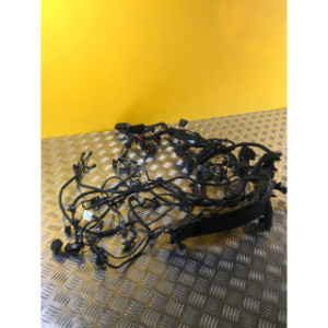 Faisceau électrique pour BMW F 900 XR 2021