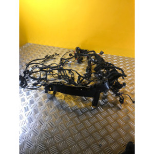 Faisceau électrique pour BMW F 900 XR 2021