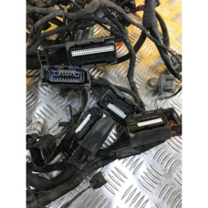 Faisceau électrique pour BMW R 1200 RT ABS 2006