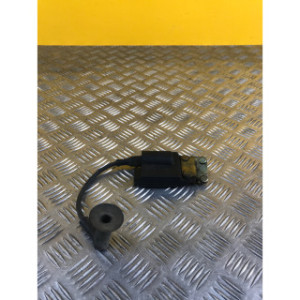 Bobine allumage pour PIAGGIO ZIP 50 2013