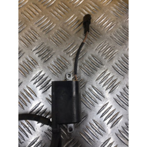 Bobine allumage pour SUZUKI GLADIUS 650 2010