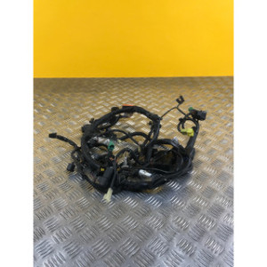 Faisceau électrique pour SUZUKI GLADIUS 650 2010