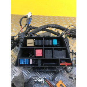 Faisceau électrique pour BMW R 850 RT 2000