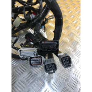 Faisceau électrique pour KAWASAKI Z 900 2023