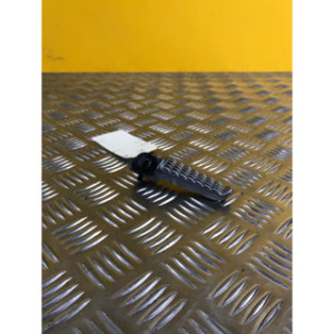 Repose pied arrière gauche pour KAWASAKI Z 900 2023