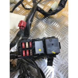 Faisceau électrique pour HONDA PCX 125 2017