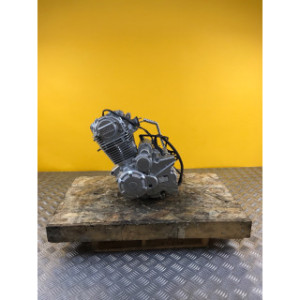 Moteur pour APOLLO 250 DMZ 2024