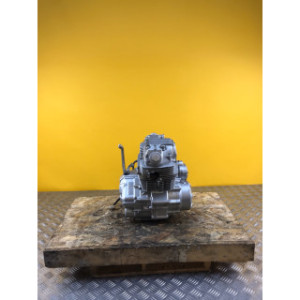 Moteur pour APOLLO 250 DMZ 2024