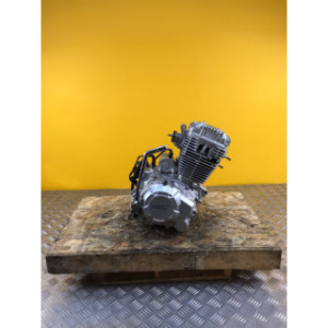 Moteur pour APOLLO 250 DMZ 2024