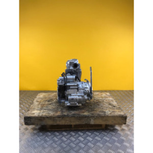 Moteur pour APOLLO 250 DMZ 2024