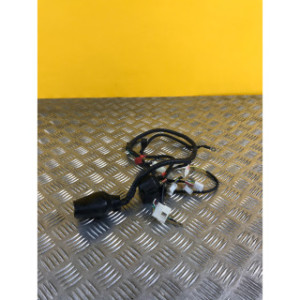 Faisceau électrique pour APOLLO 250 DMZ 2024