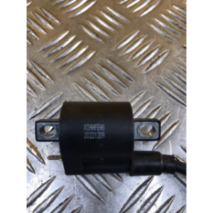 Bobine allumage pour APOLLO 250 DMZ 2024