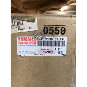 Face avant pour YAMAHA DIVERSION 900 1998 4KM-Y2835-C0-P4