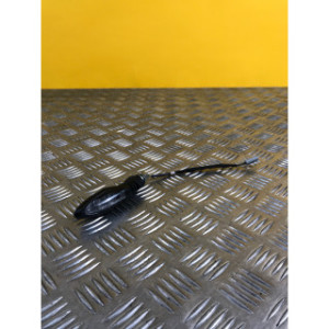 Clignotant avant gauche pour KTM DUKE 390 2016