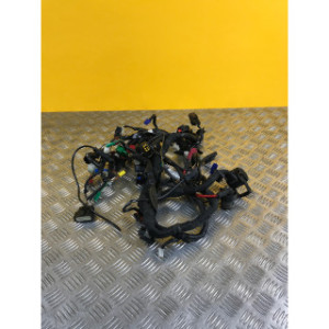 Faisceau électrique pour KTM DUKE 390 2016