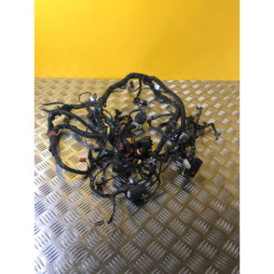Faisceau électrique pour PIAGGIO BEVERLY 350 2014