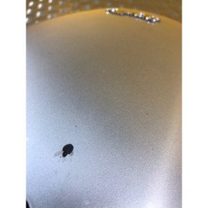 Carenage centrale arriere pour APRILIA ATLANTIC 500 2007