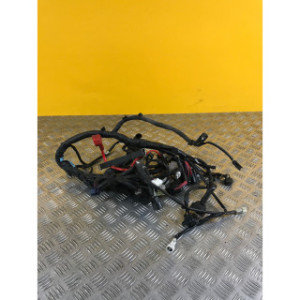 Faisceau électrique pour YAMAHA TRACER 700 2017