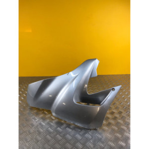 Flanc de carénage gauche pour YAMAHA TDR 125 2001