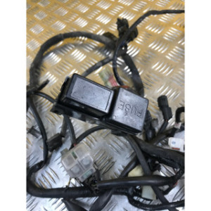 Faisceau électrique pour SUZUKI BANDIT 650 2007