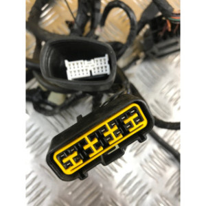 Faisceau électrique pour SUZUKI BANDIT 650 2007