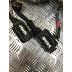 Faisceau électrique pour BMW R 1200 RT ABS 2005