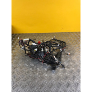 Faisceau électrique pour NIU N1S 50 2018