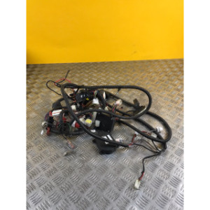 Faisceau électrique pour NIU N1S 50 2018