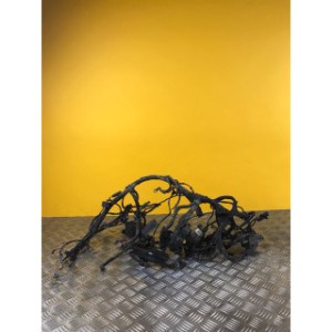 Faisceau électrique pour BMW R 1200 RT 2007