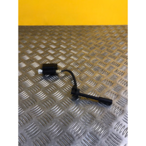 Bobine allumage pour KTM DUKE 390 2016