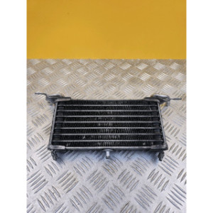 Radiateur d'huile pour BMW S 1000 R 2014