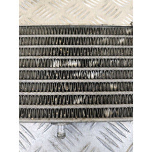 Radiateur d'huile pour BMW S 1000 R 2014