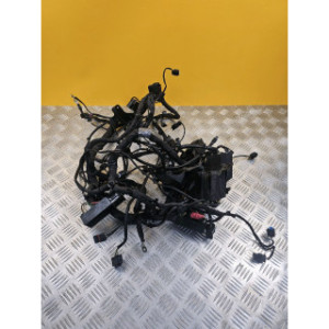 Faisceau électrique pour BMW S 1000 R 2014