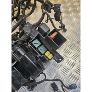 Faisceau électrique pour BMW S 1000 R 2014