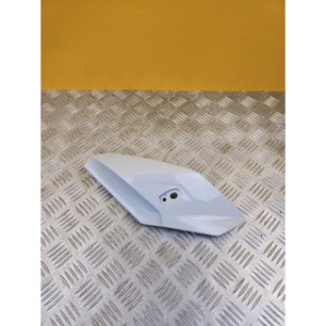 Nez de carénage droit pour BMW S 1000 R 2014
