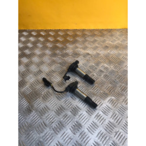 Bobine allumage pour KTM DUKE 890 2022