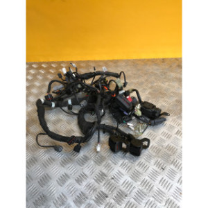 Faisceau électrique pour KTM DUKE 890 2022