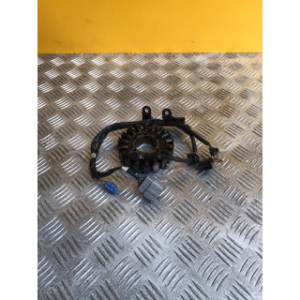 Stator d'allumage pour KTM DUKE 890 2022