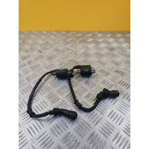 Bobine allumage pour BENELLI BN 125 2020