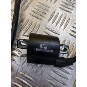 Bobine allumage pour BENELLI BN 125 2020