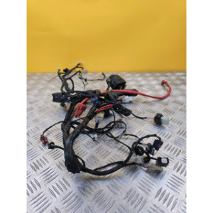 Faisceau électrique pour BENELLI BN 125 2020
