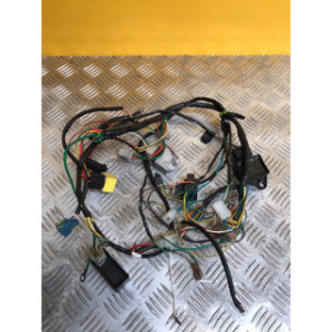 Faisceau électrique pour PEUGEOT TKR 50 2006