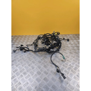 Faisceau électrique pour SUZUKI BURGMAN 400 2011