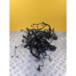 Faisceau électrique pour BMW R 1200 RT 2005