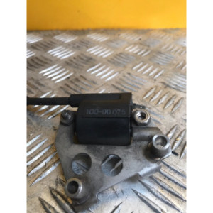 Bobine allumage pour YAMAHA XMAX 125 2011