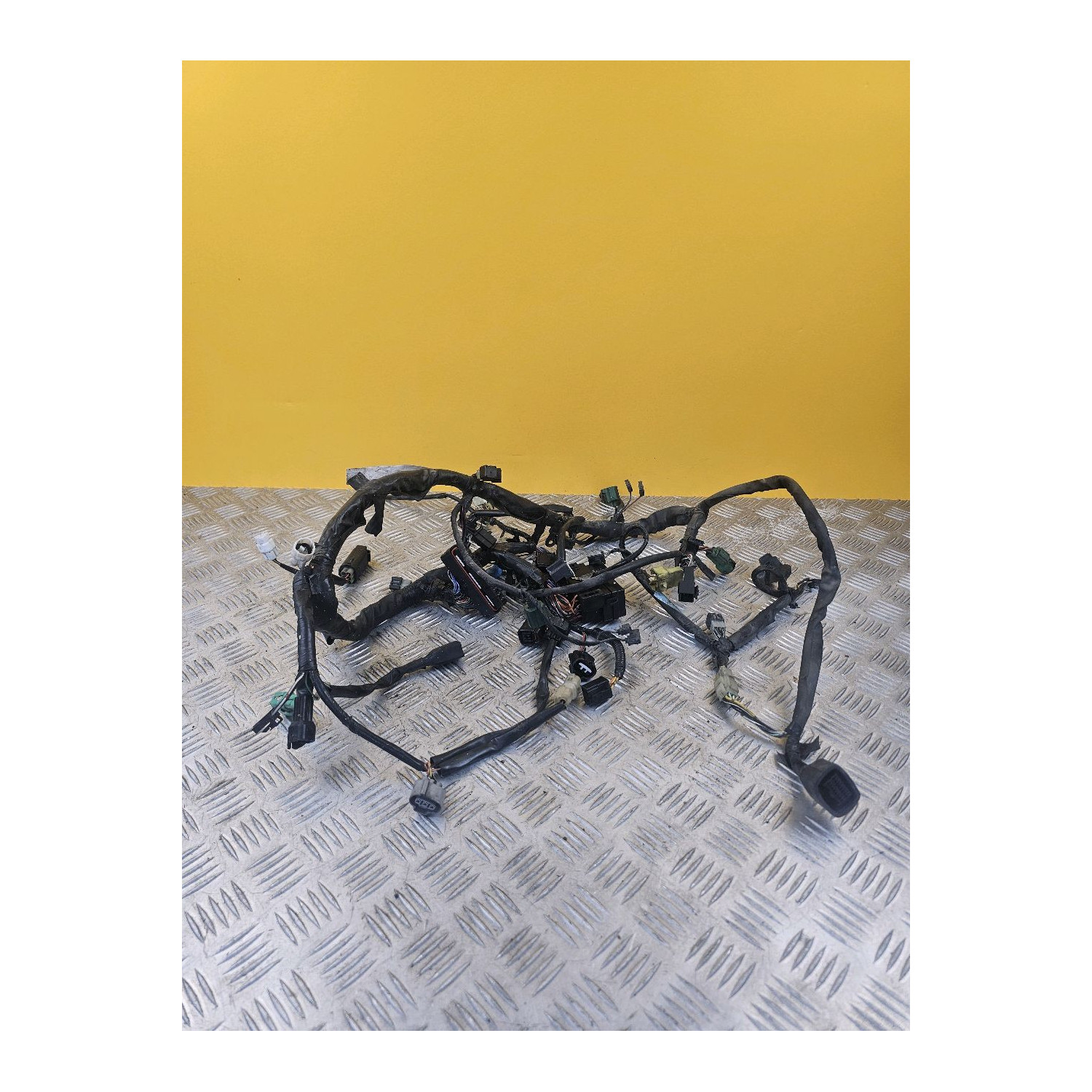 Faisceau électrique pour SUZUKI SV 1000 S 2003
