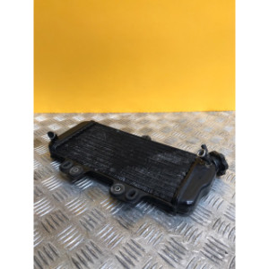 Radiateur d'eau pour YAMAHA TDR 125 1999