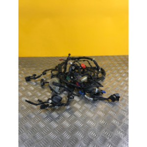 Faisceau électrique pour HONDA SH 300 2017