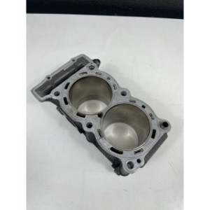 Cylindre pour YAMAHA TDM 900 2010